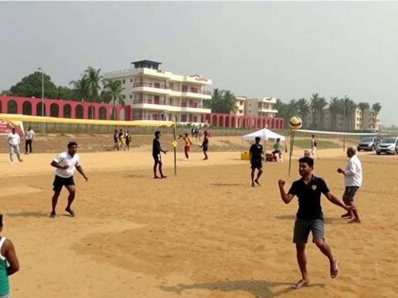 Different Regional Versions of Desi Beach Volley Desi Beach Volley Regional Versions